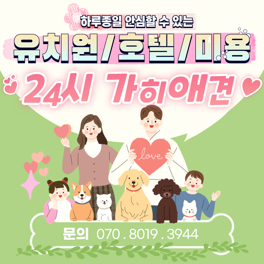 가히애견 광진건대점 대표 이미지