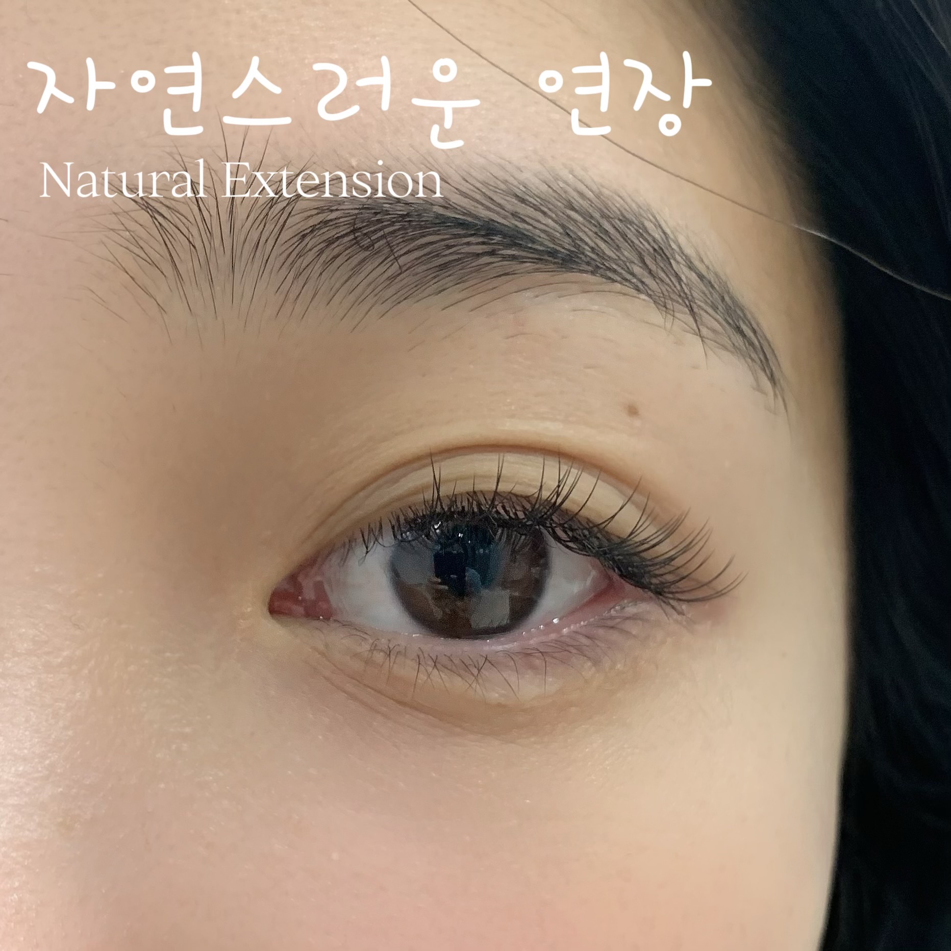 래쉬바이미네