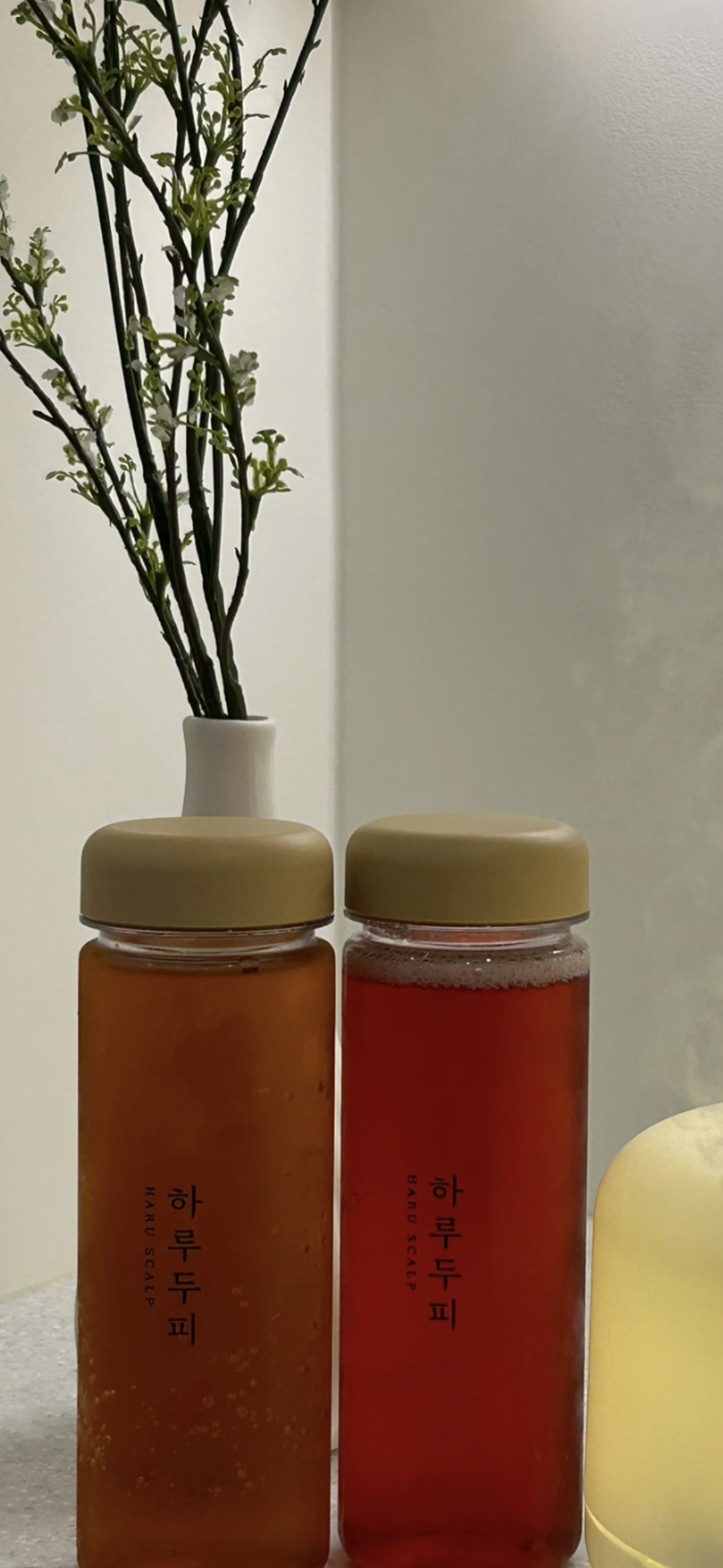 하루두피 천안불당점 대표 이미지