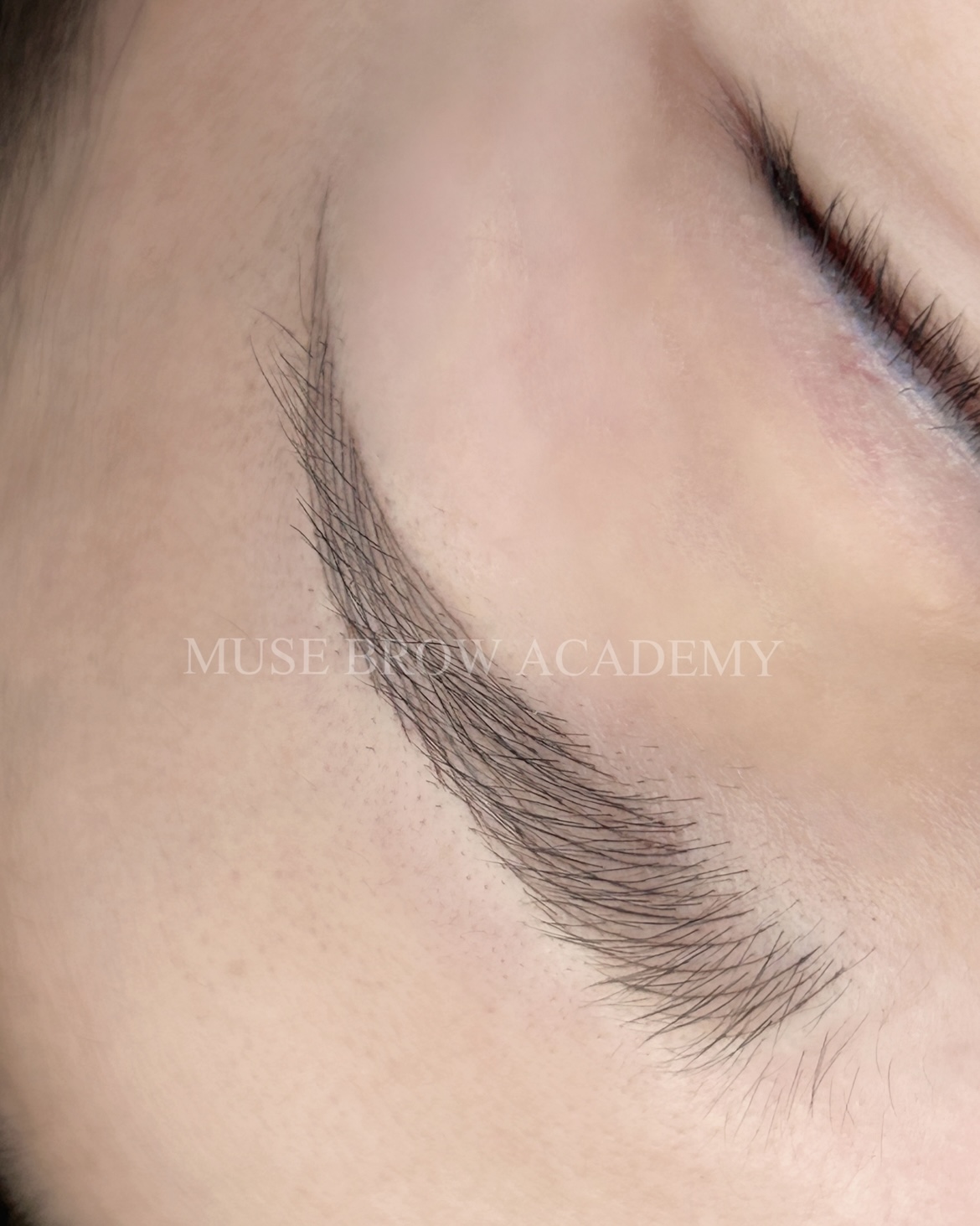 뮤즈브로우 대표 이미지