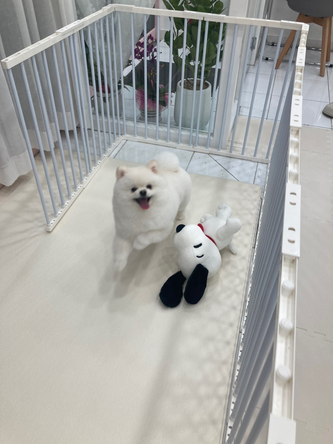 동글하개 대표 이미지