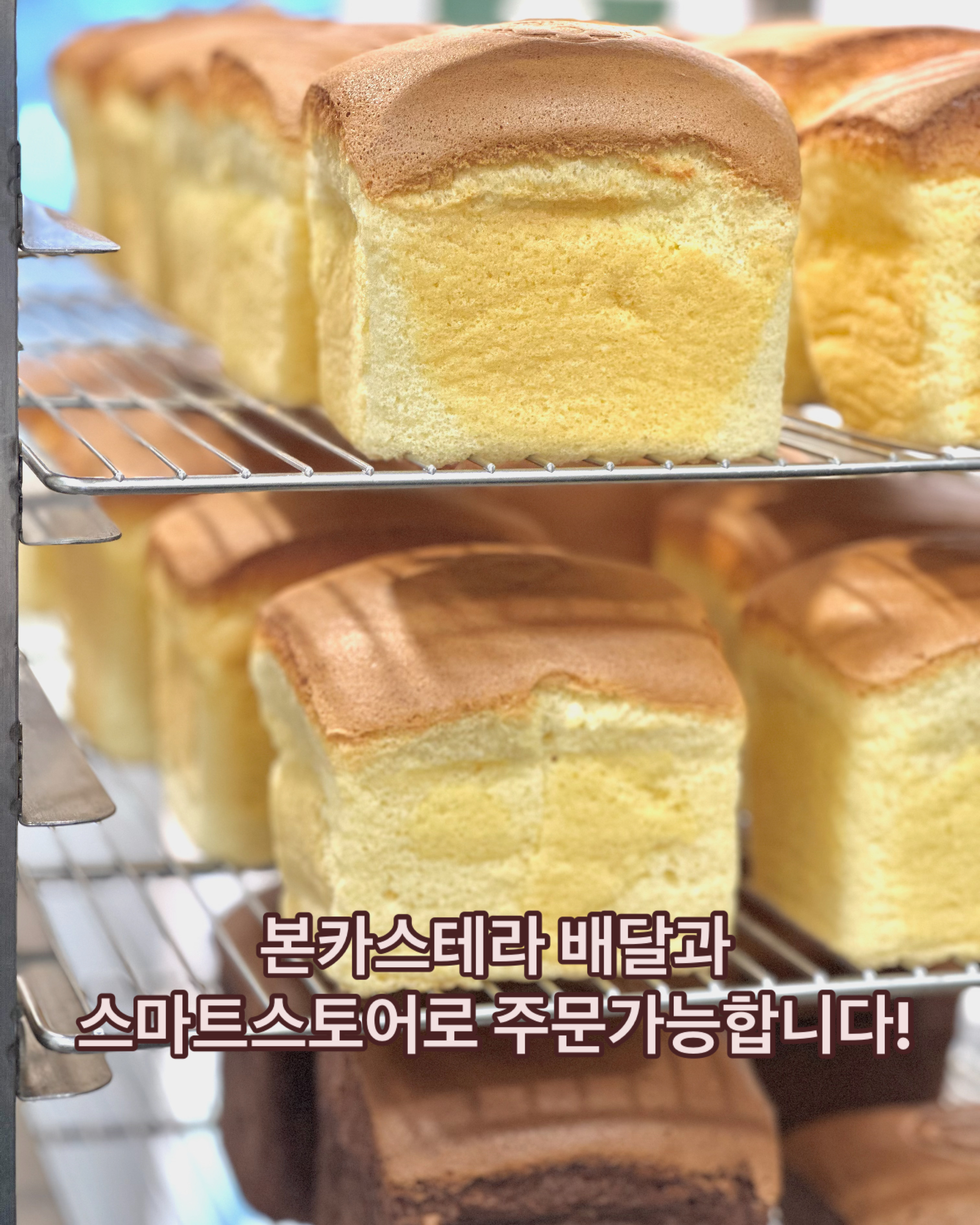본카스테라