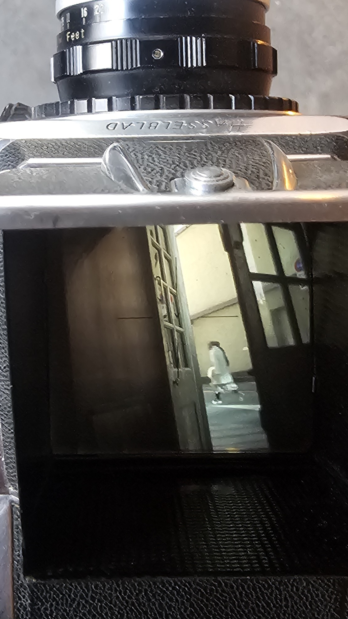 카페비온디앤 대표 이미지