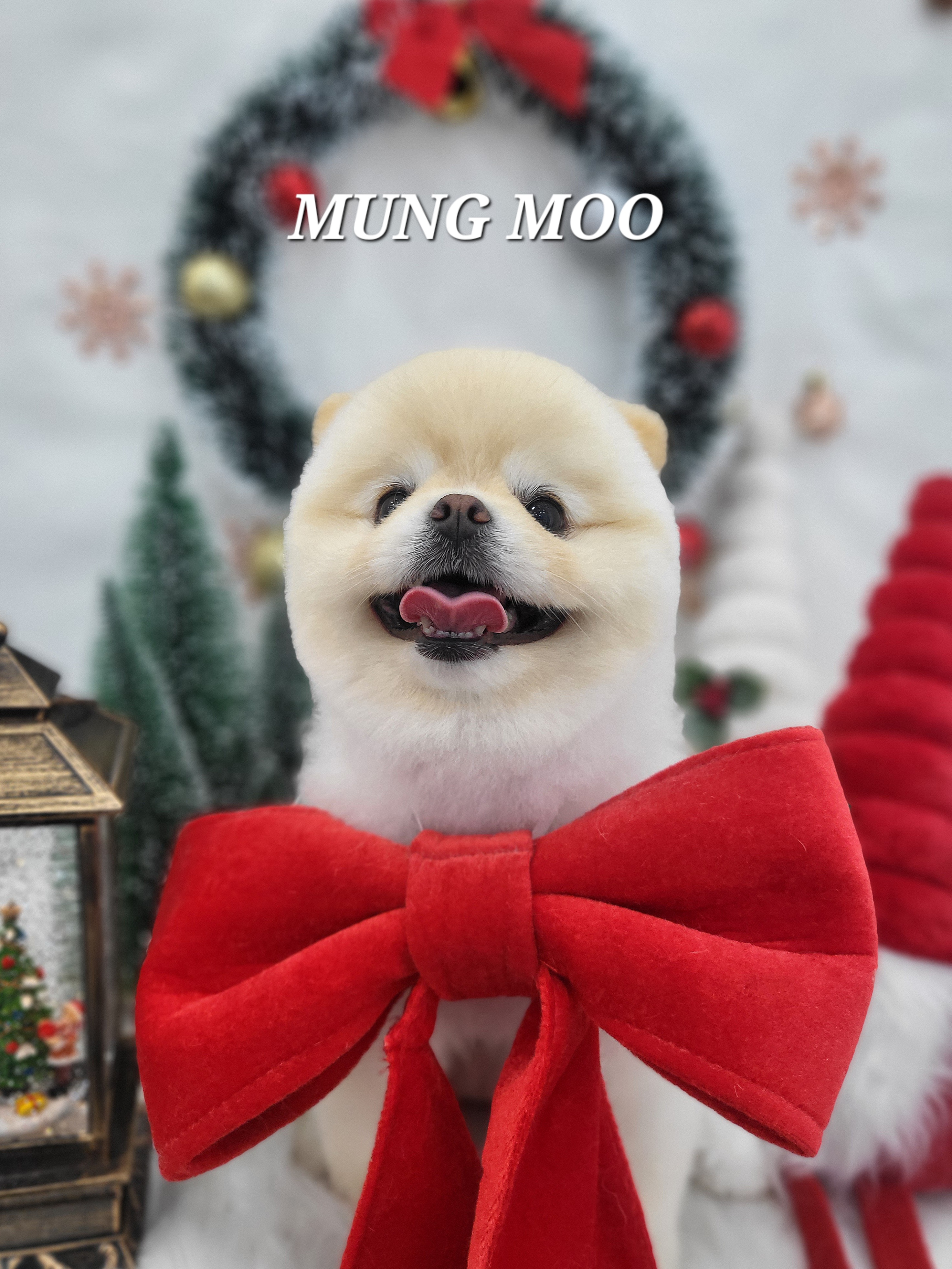 멍무 대표 이미지