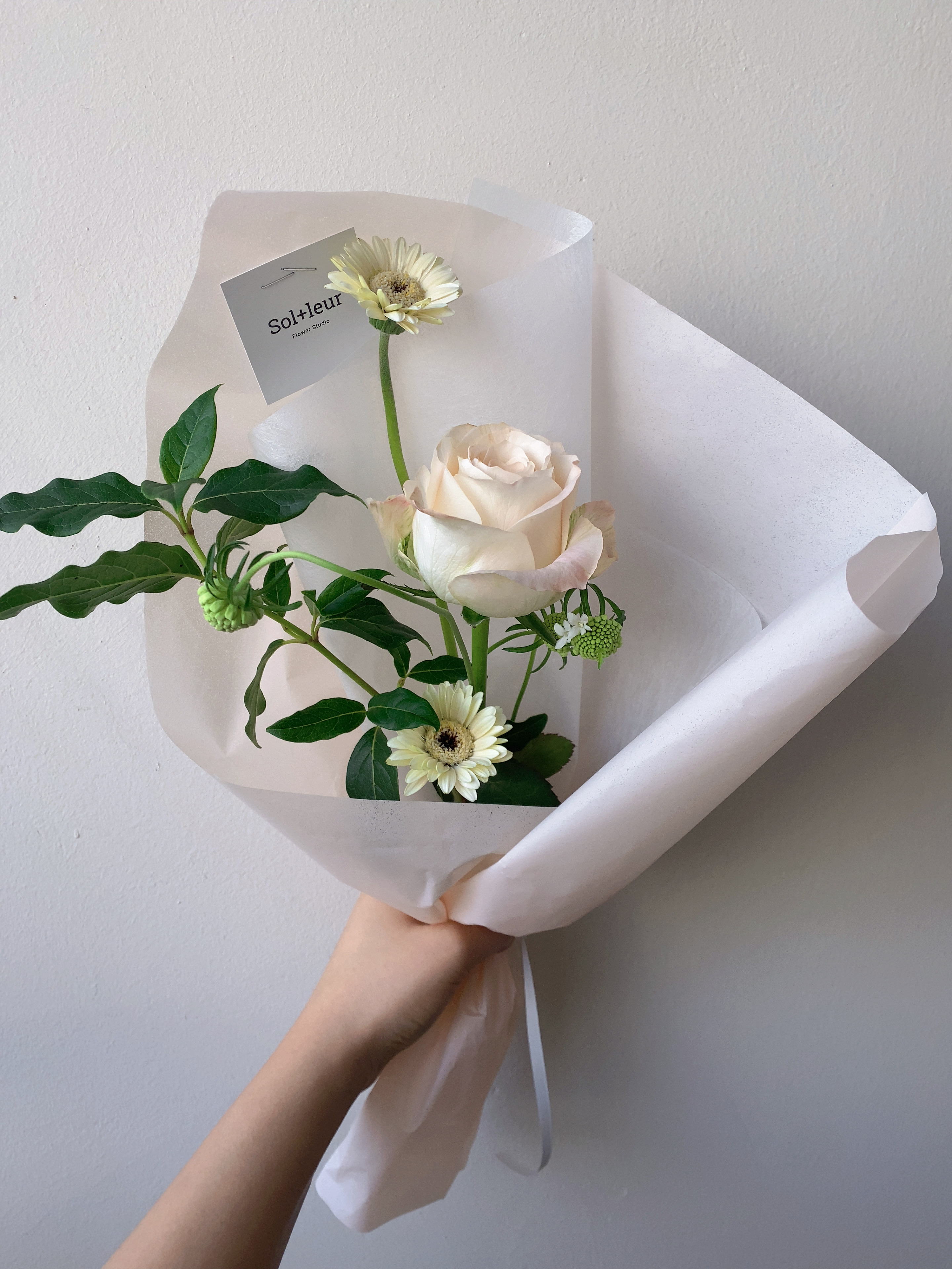 솔플레르