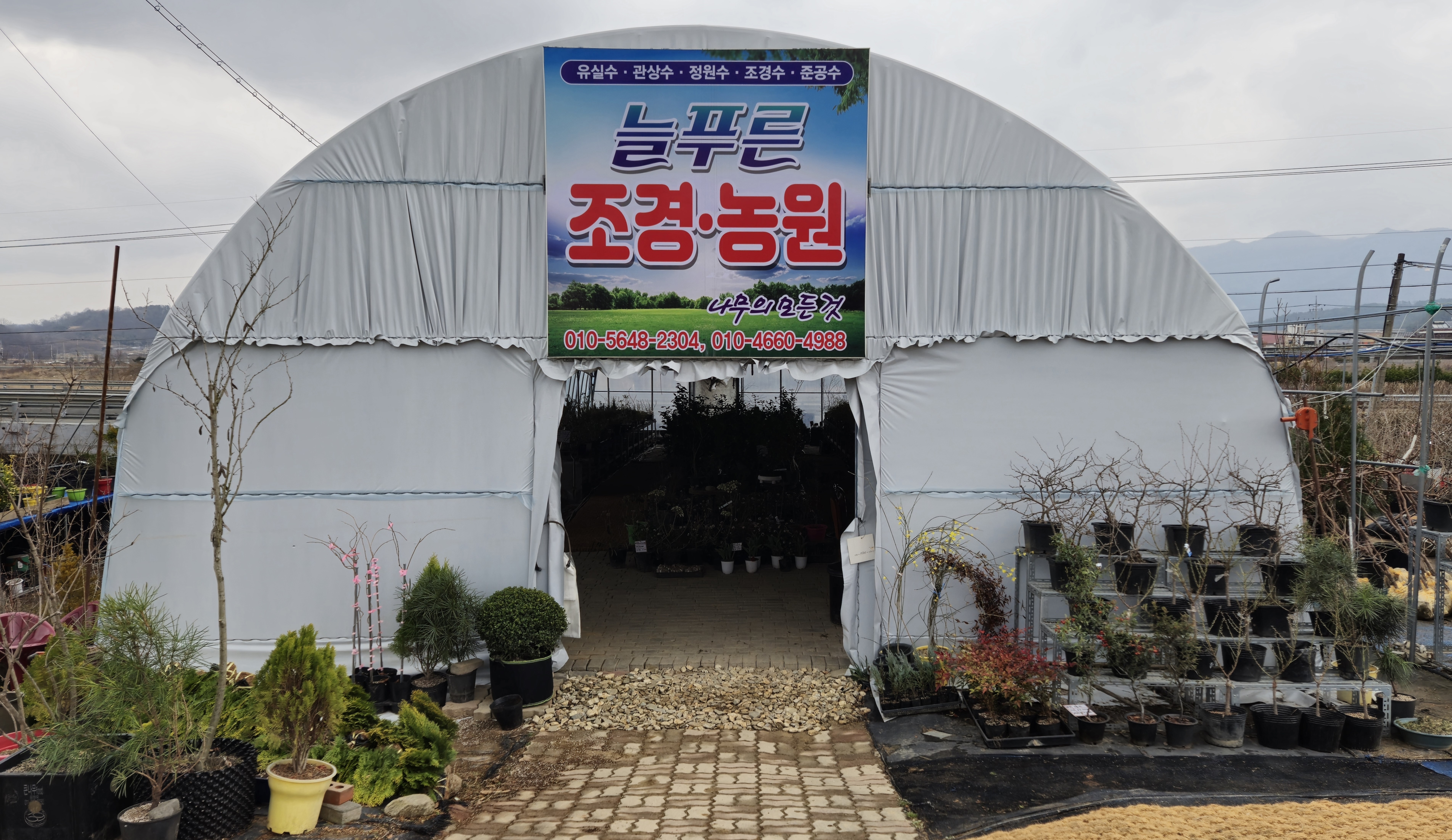늘푸른조경