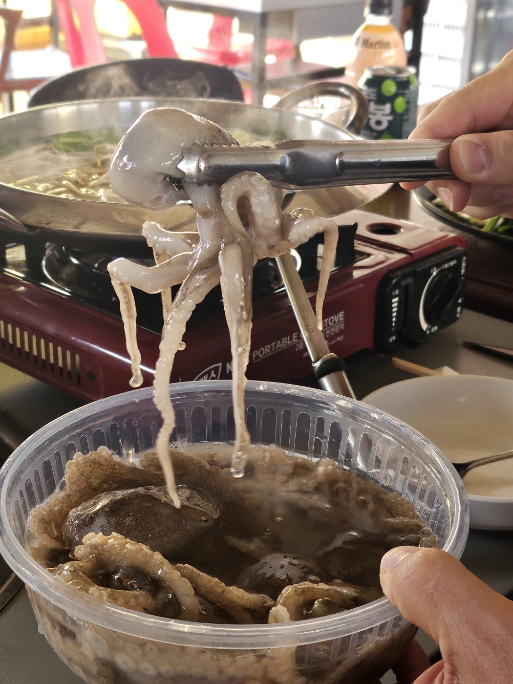 조개창고