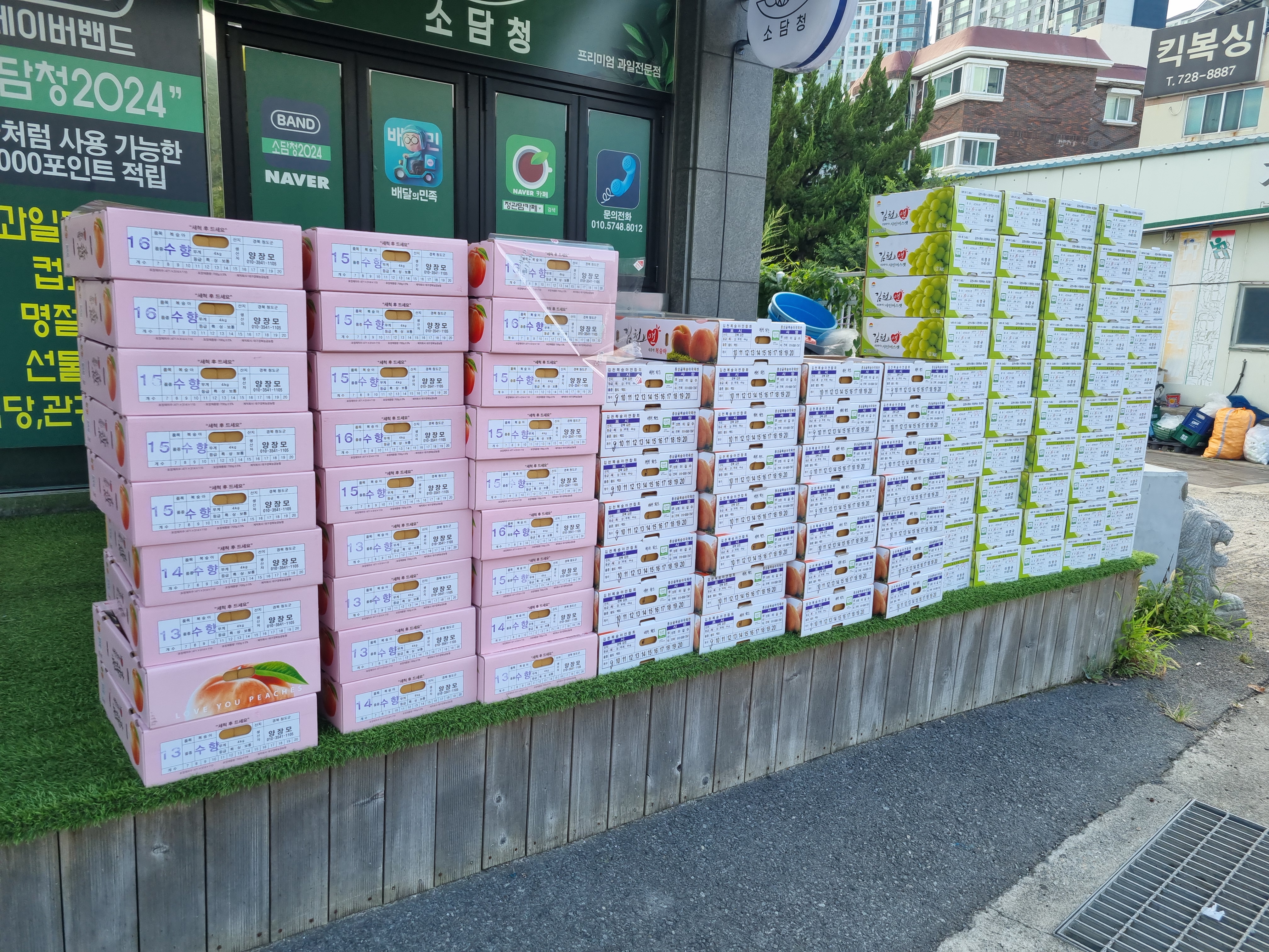 소담청