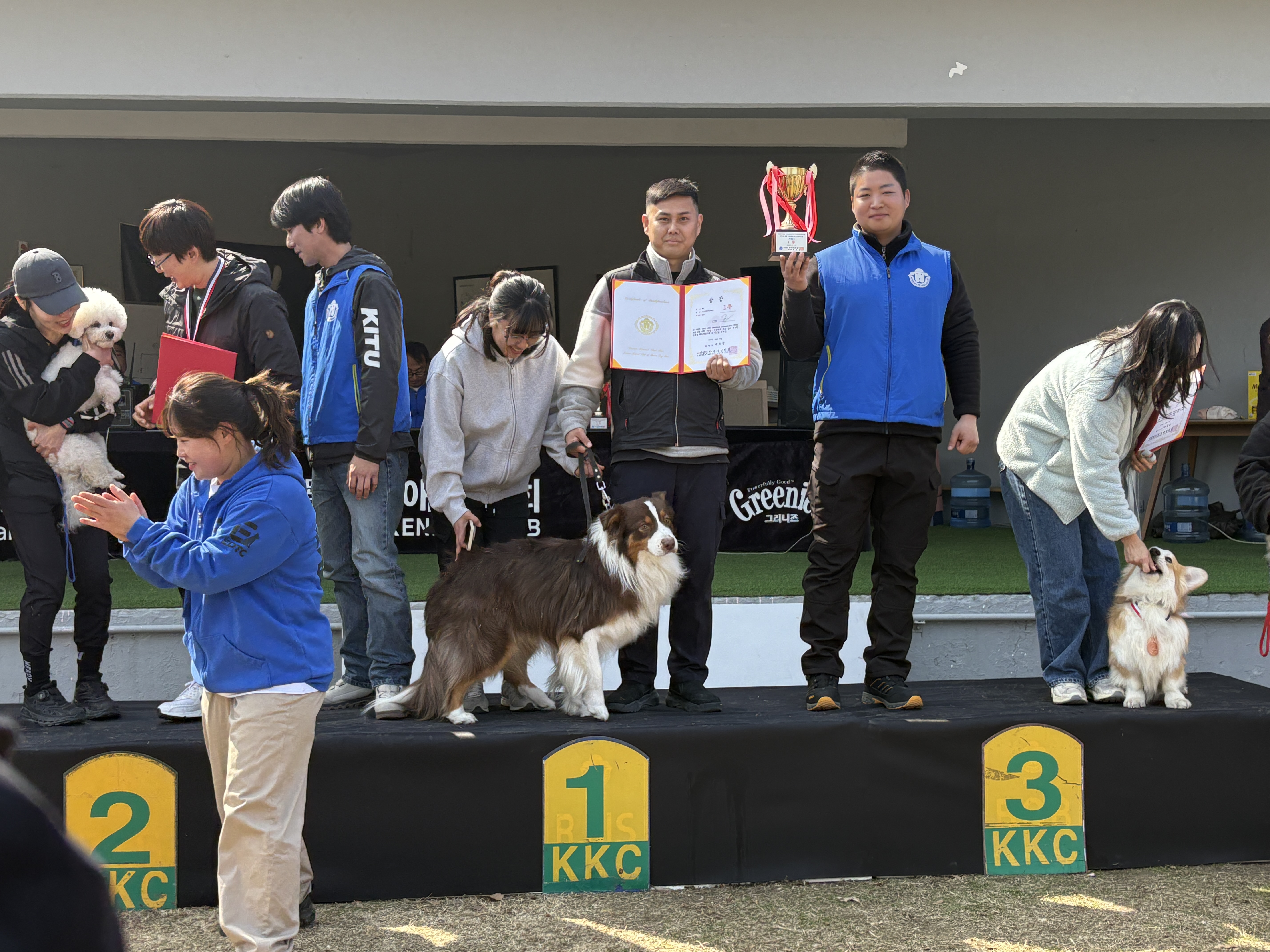 도그라운지 대표 이미지