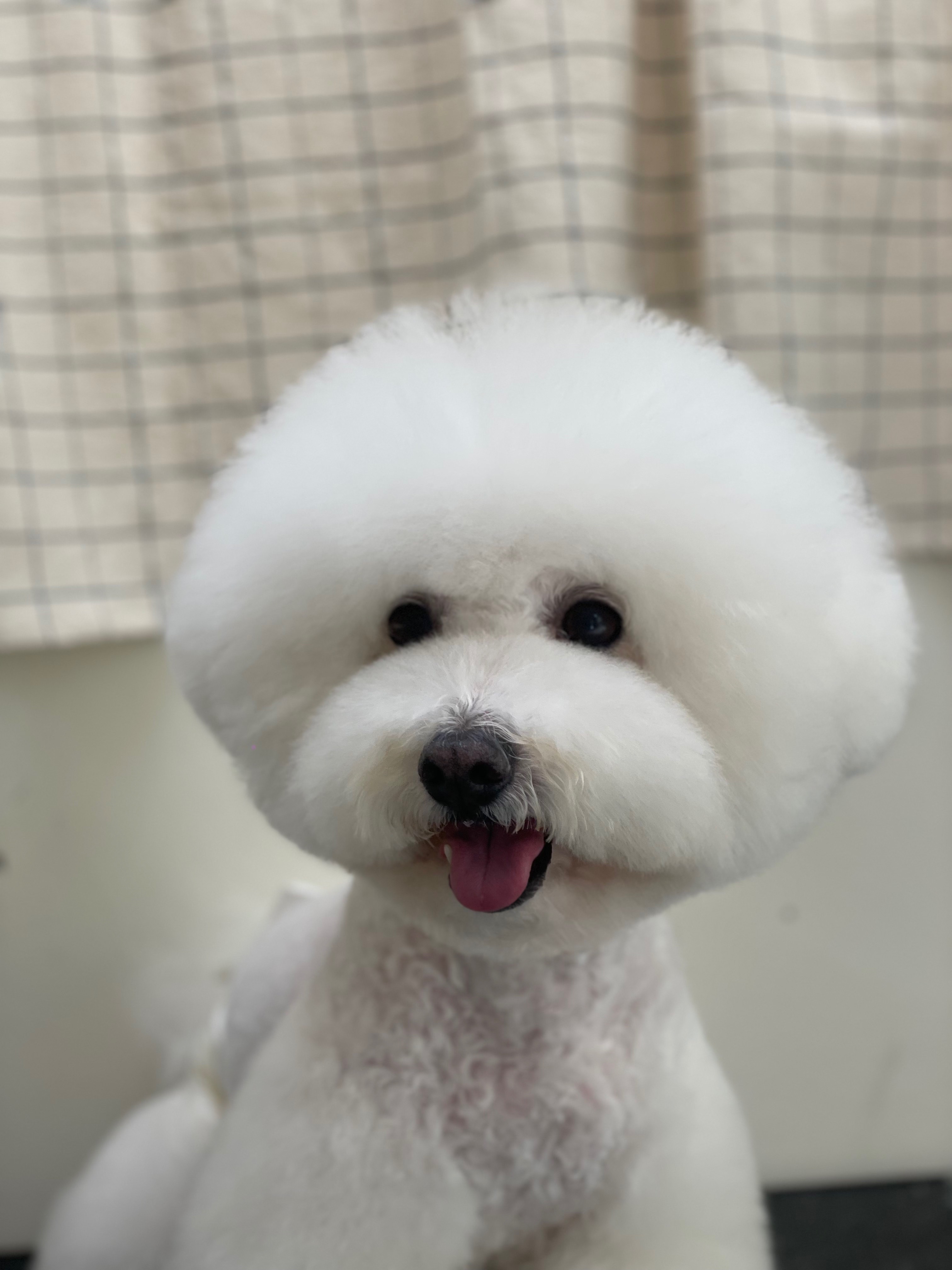 다녀오개습니다 내부 또는 관련 모습