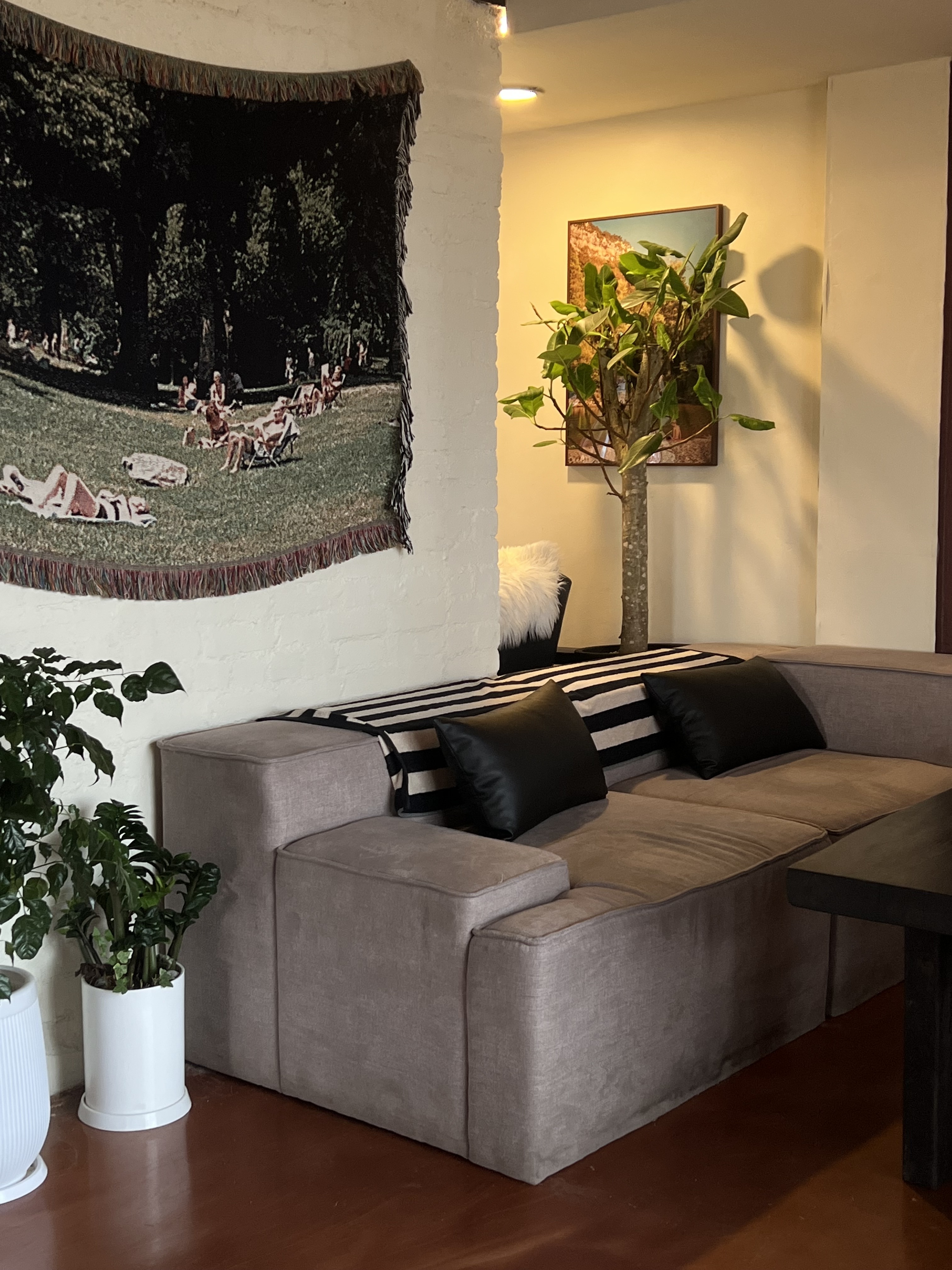 대원 대표 이미지