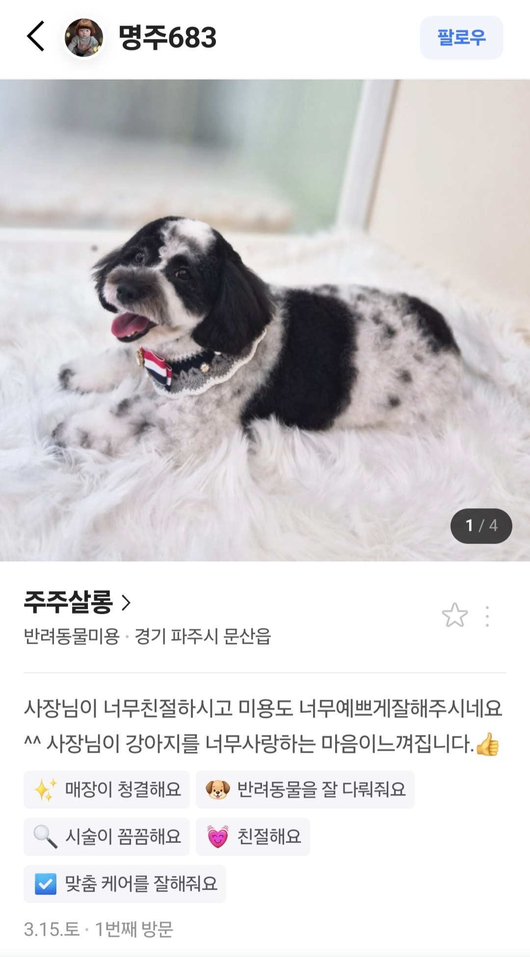 주주살롱