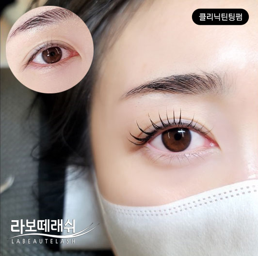 라보떼래쉬 대표 이미지