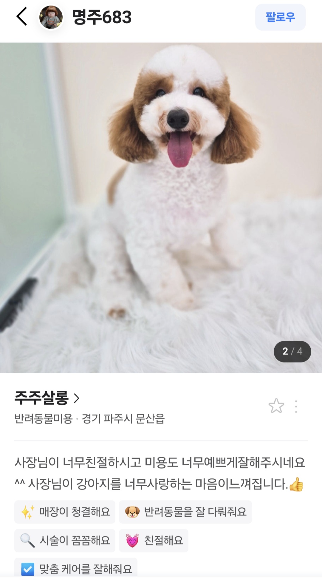 주주살롱