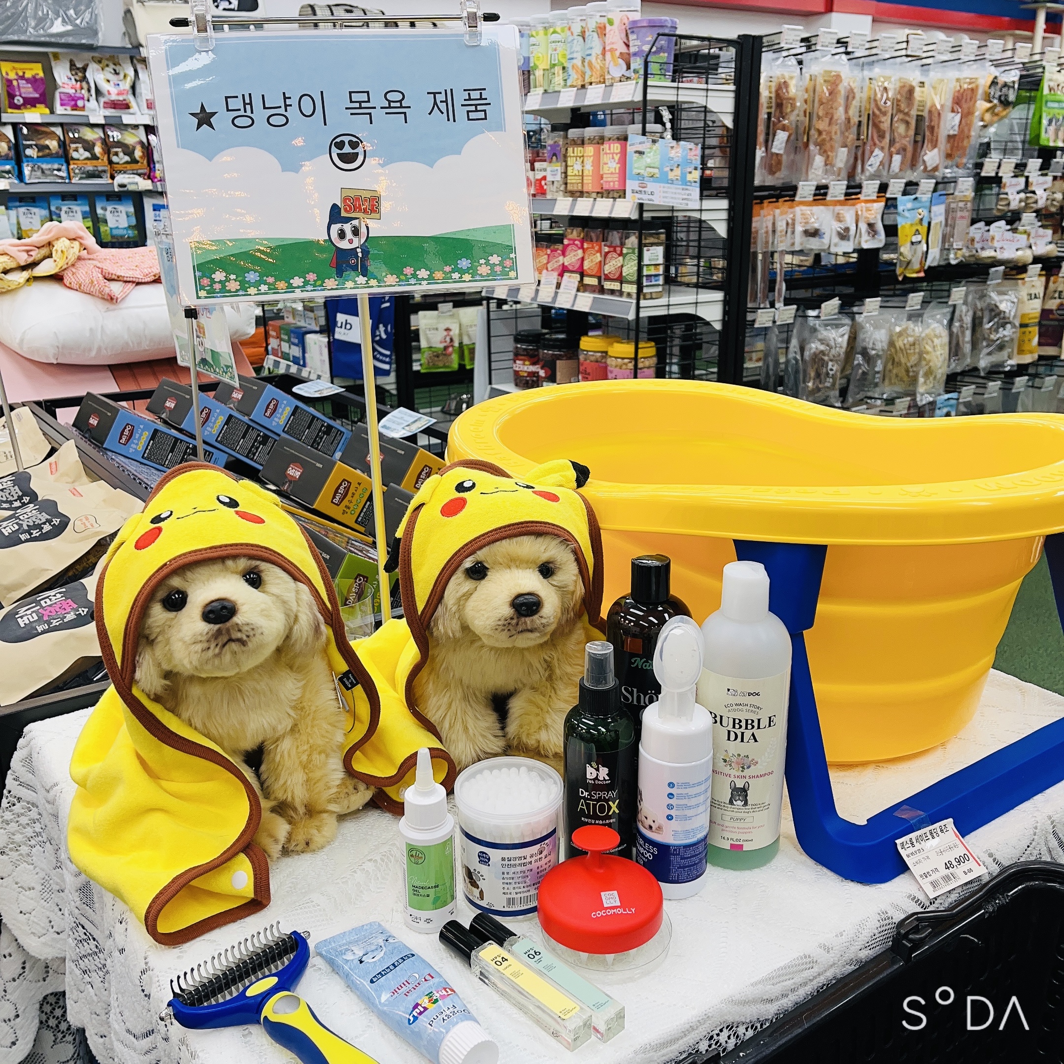 펫클럽 동해점 대표 이미지