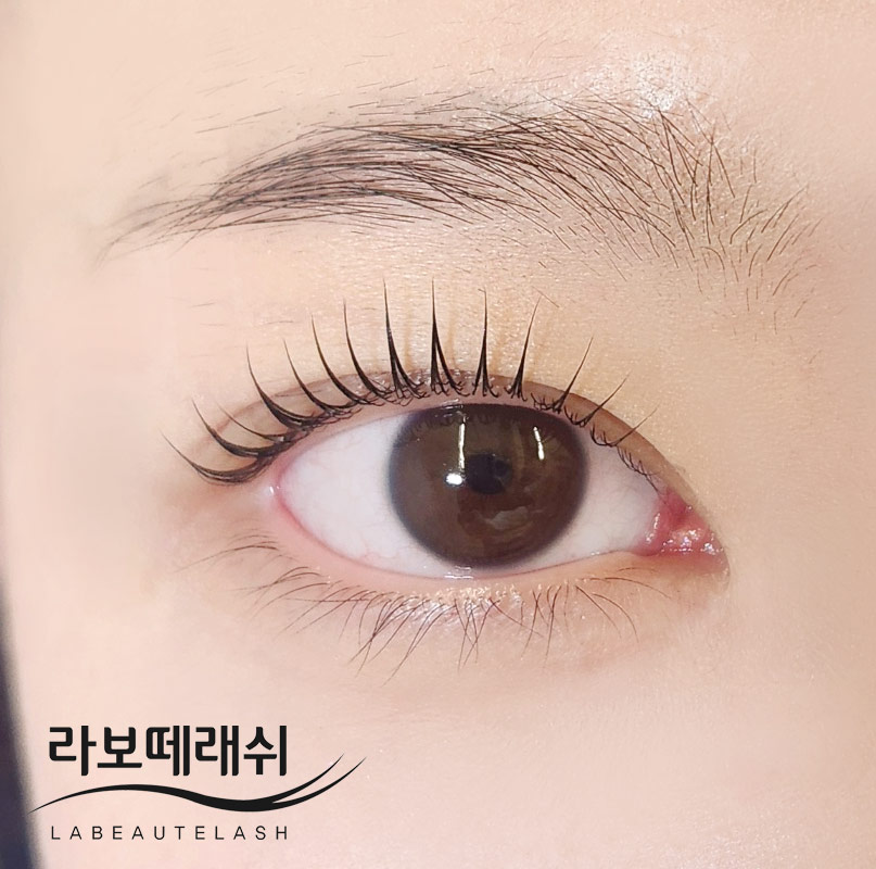 라보떼래쉬 종로점 대표 이미지