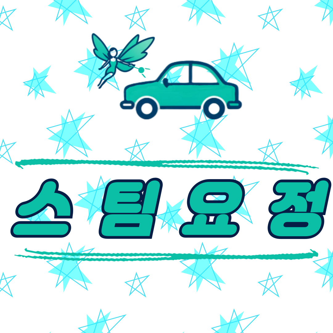 스팀요정 손세차 디테일링 영등포본점