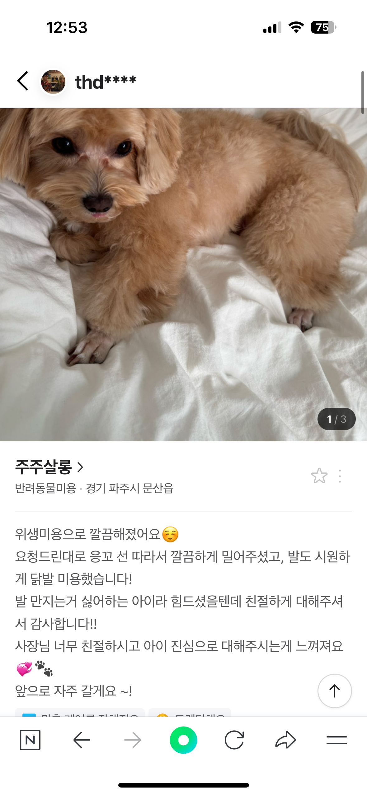주주살롱