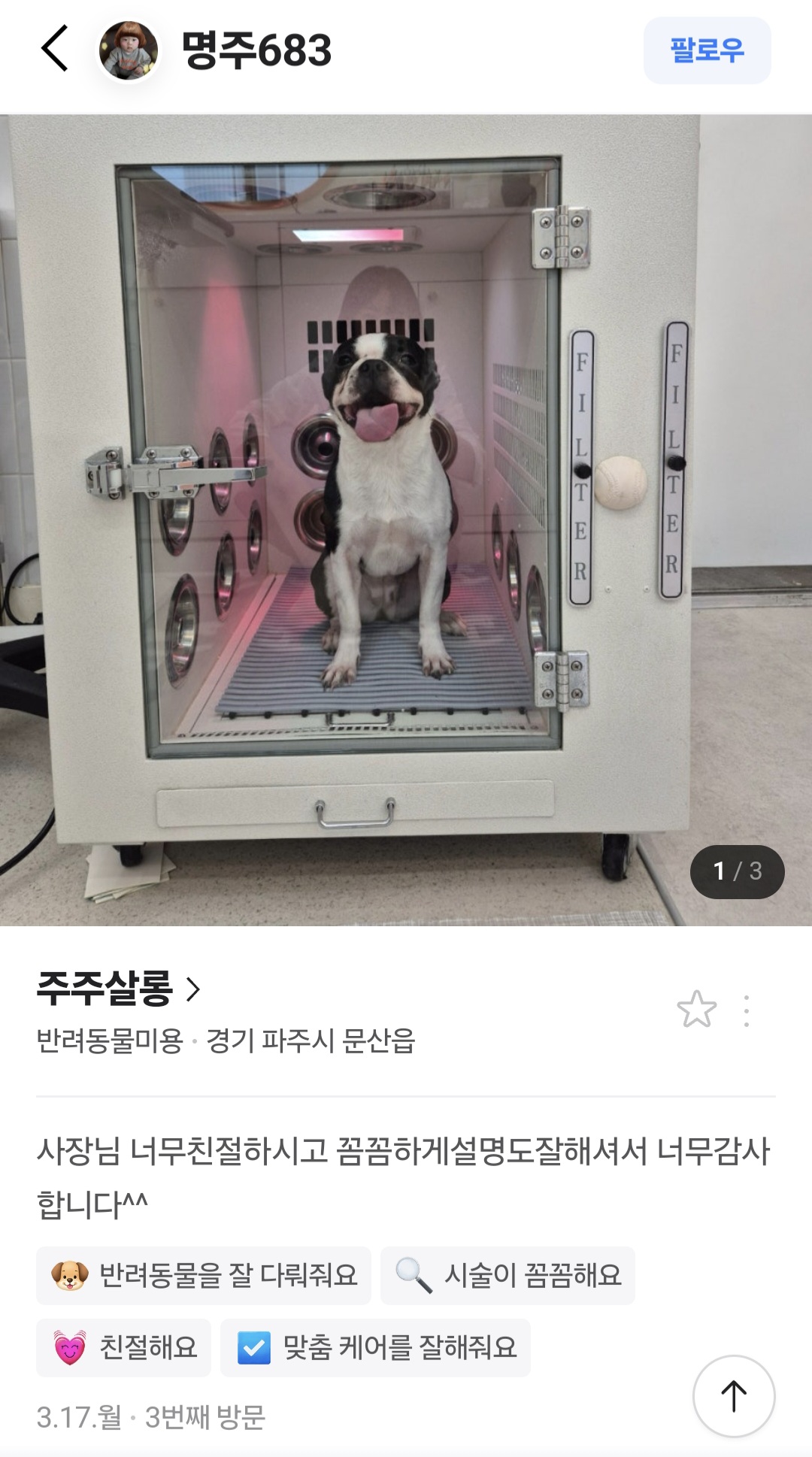 주주살롱