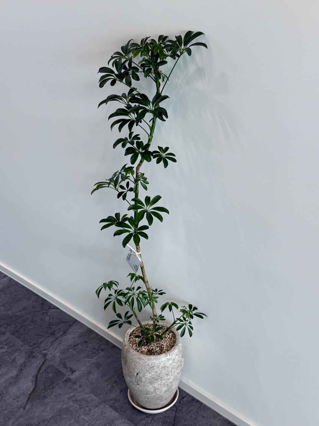 법무법인 베테랑 광주분사무소 대표 이미지