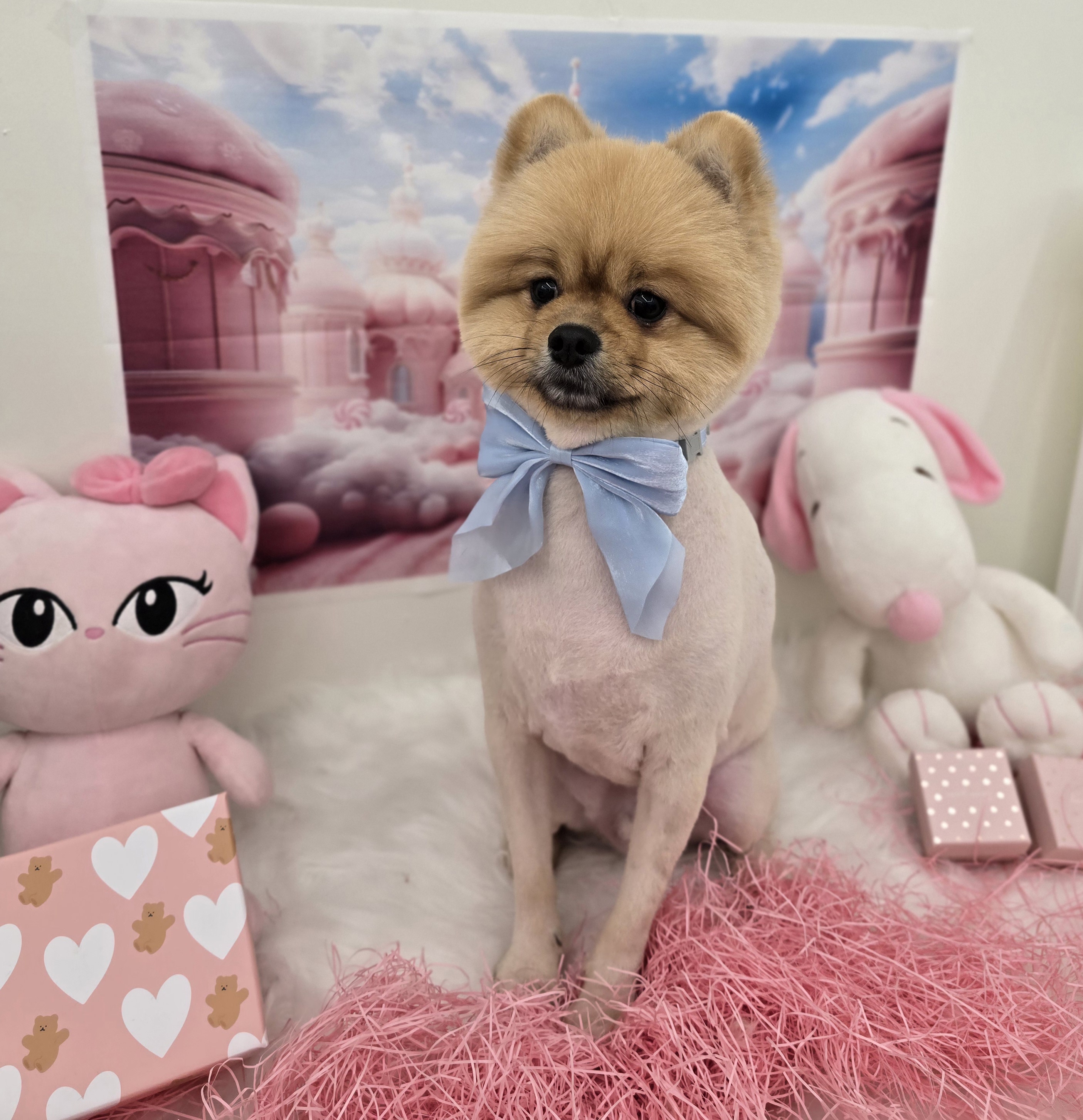 멍몽's 대표 이미지