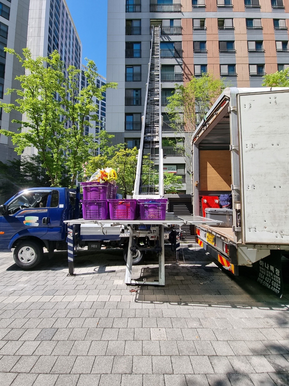 왜관이사 대표 이미지