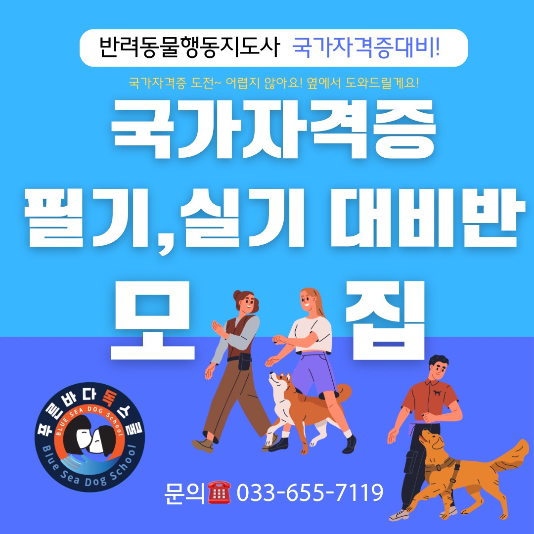 푸른바다독스쿨 대표 이미지