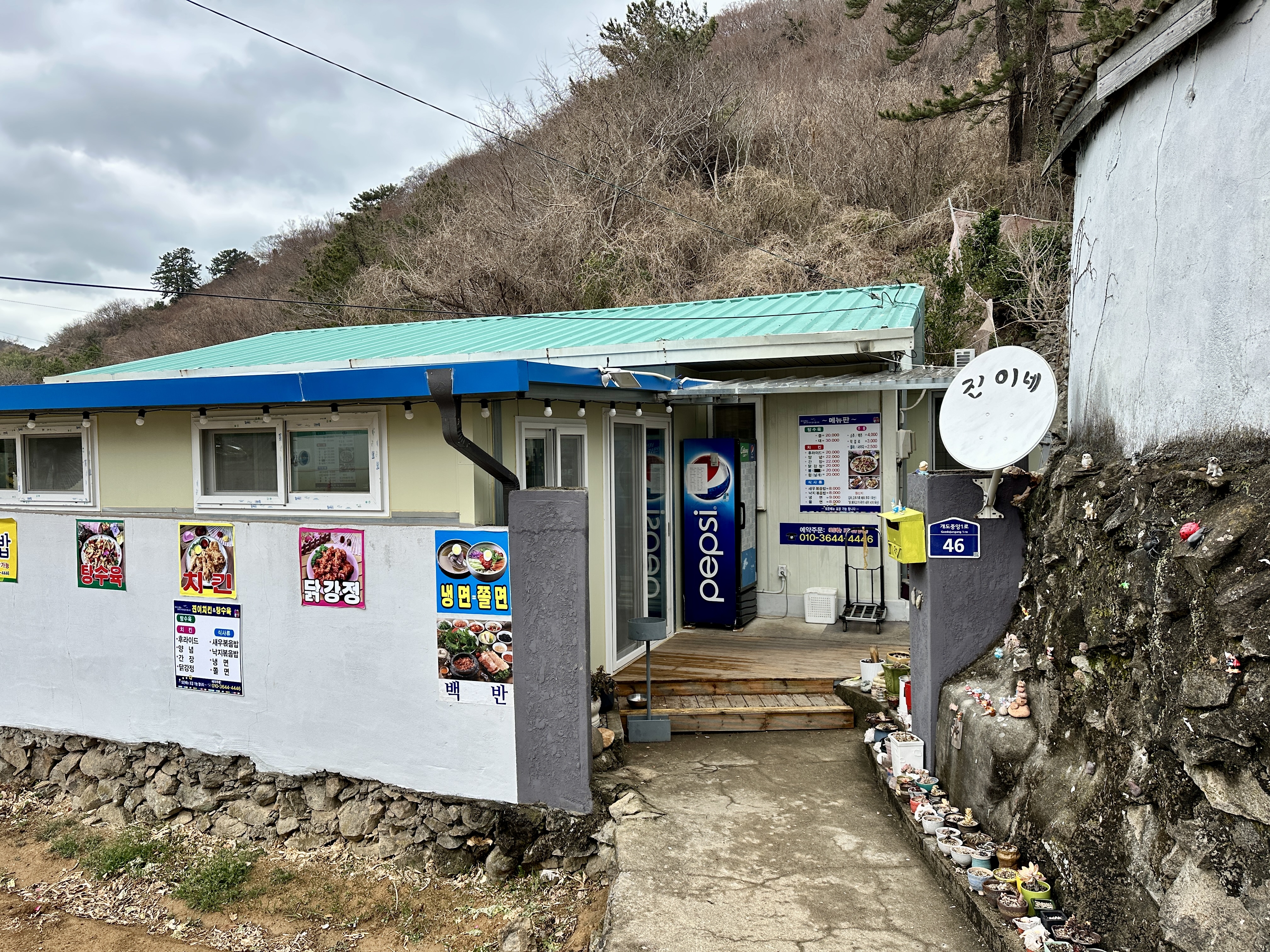 진이네