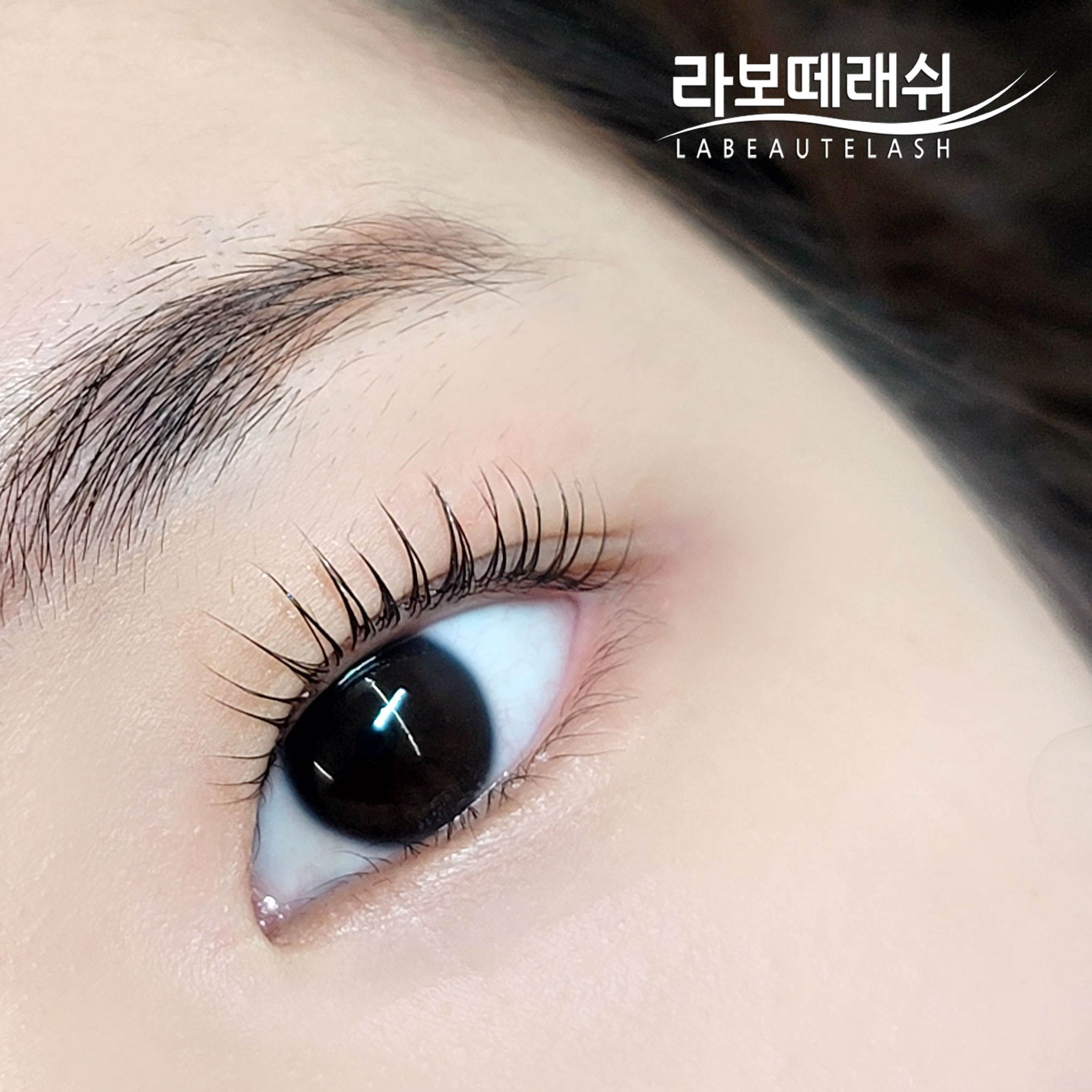 라보떼래쉬 종로점 대표 이미지