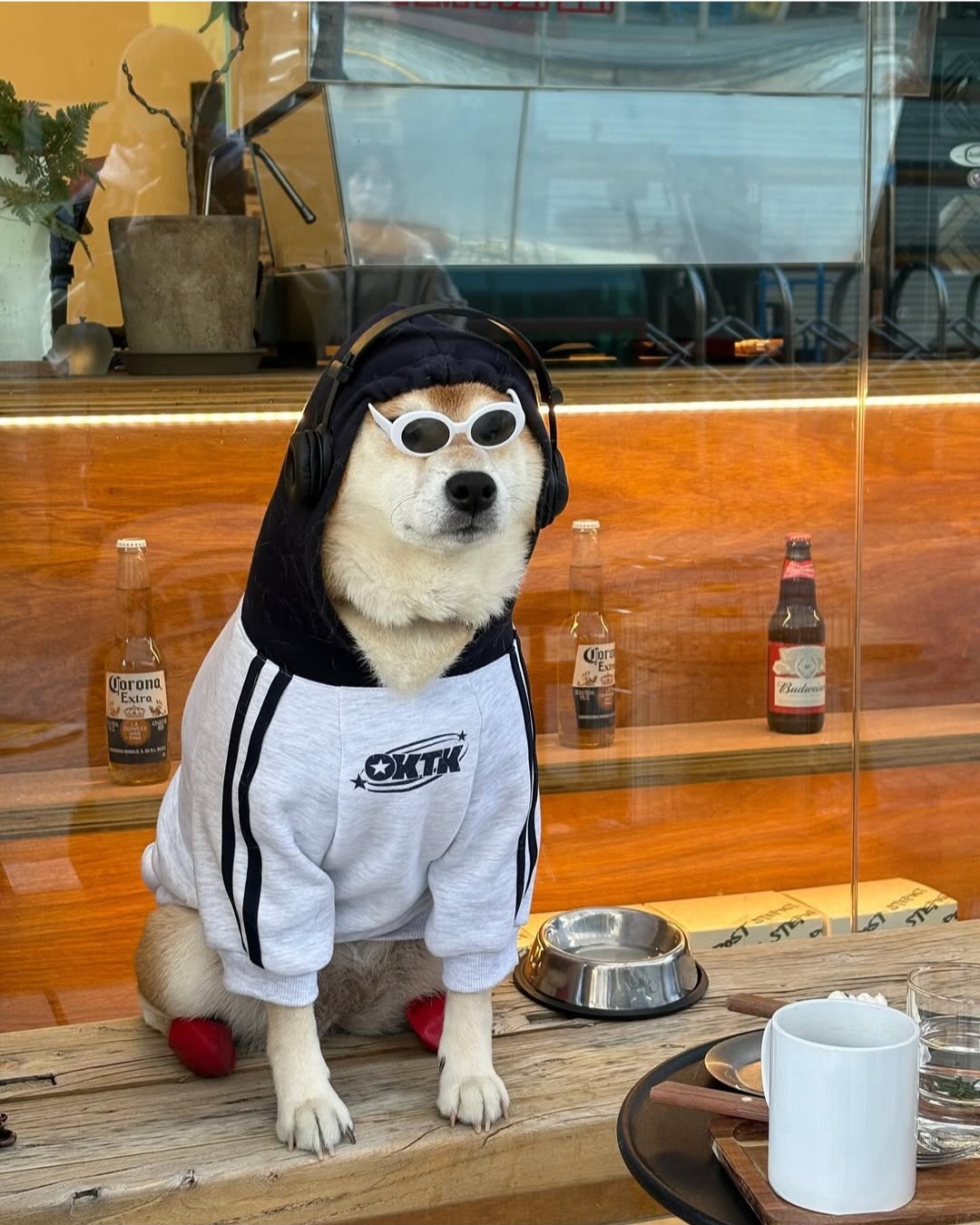 스테포스트 설명사진