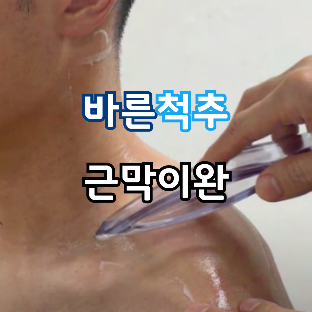 바른척추 체형교정 운동센터