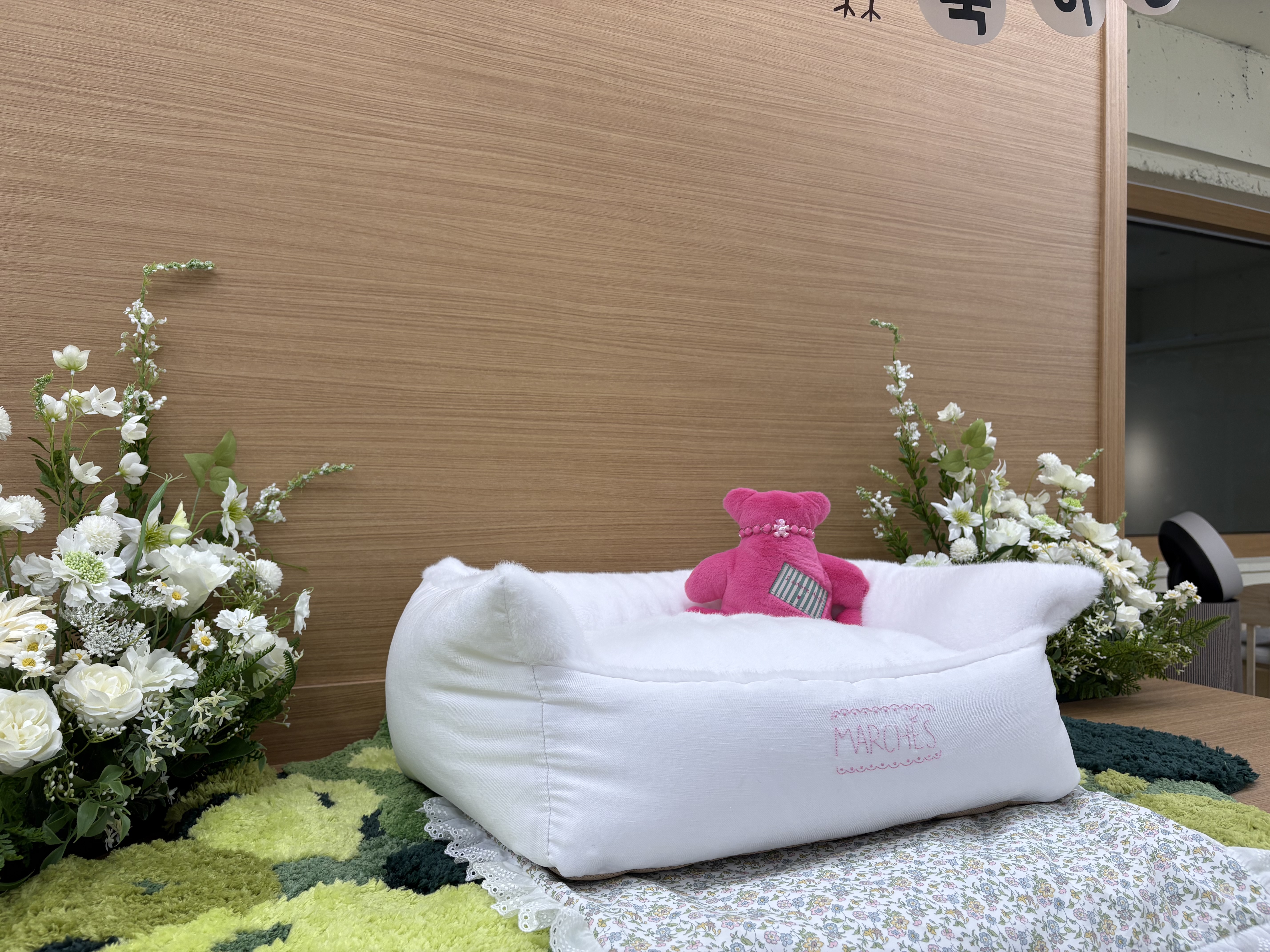 댕린이 보호구역 대표 이미지