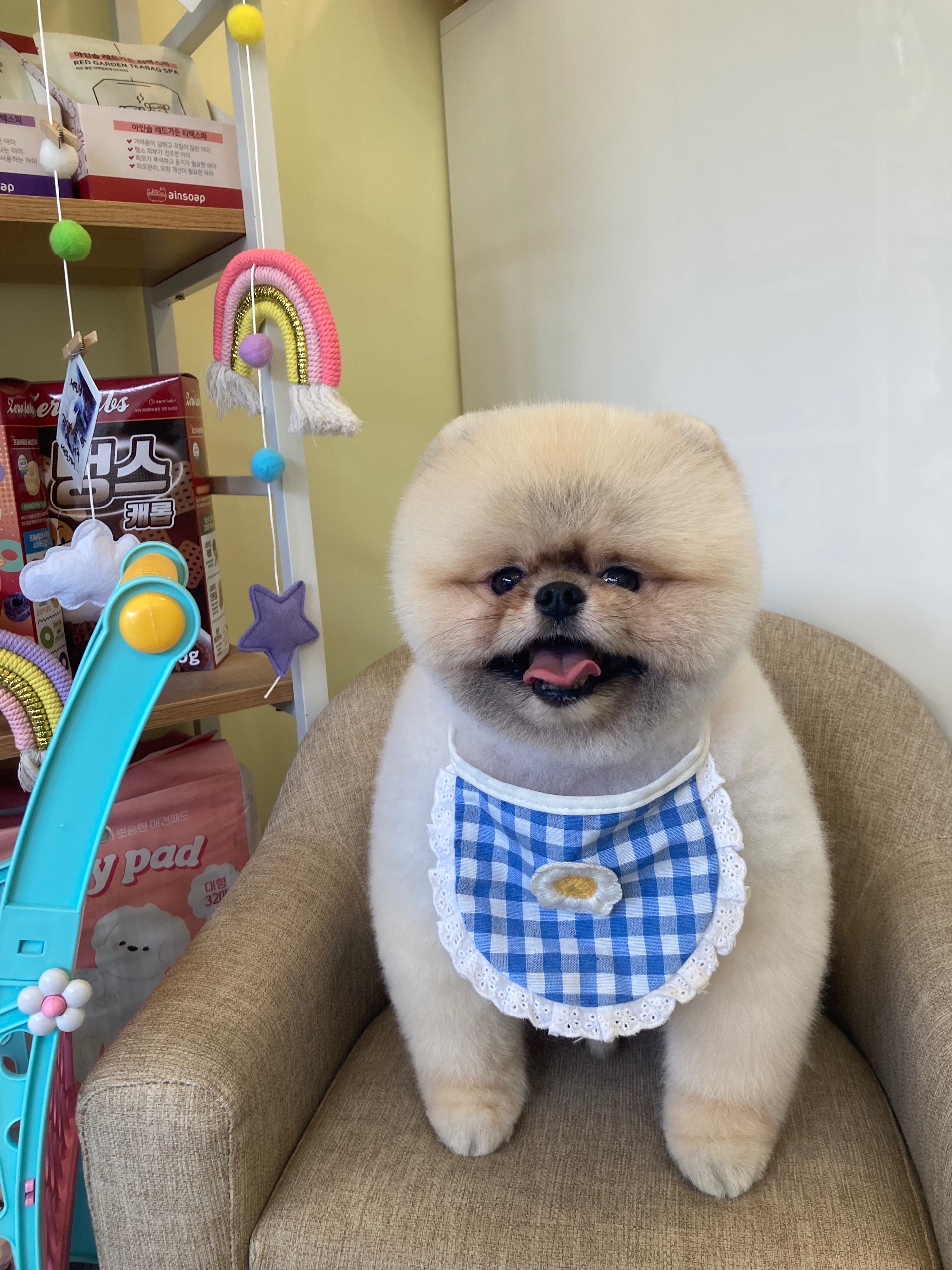 살롱드베베 대표 이미지