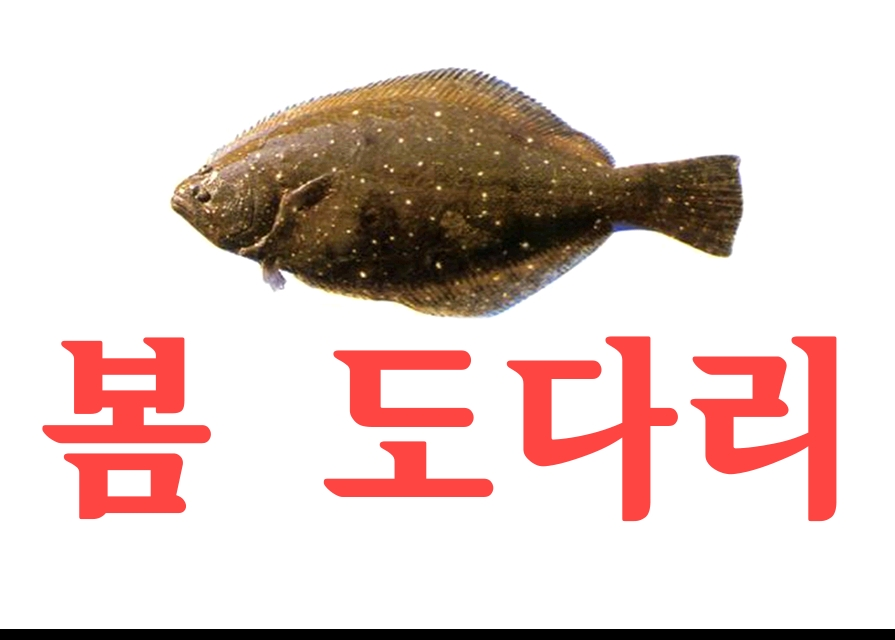 가락수산회센타
