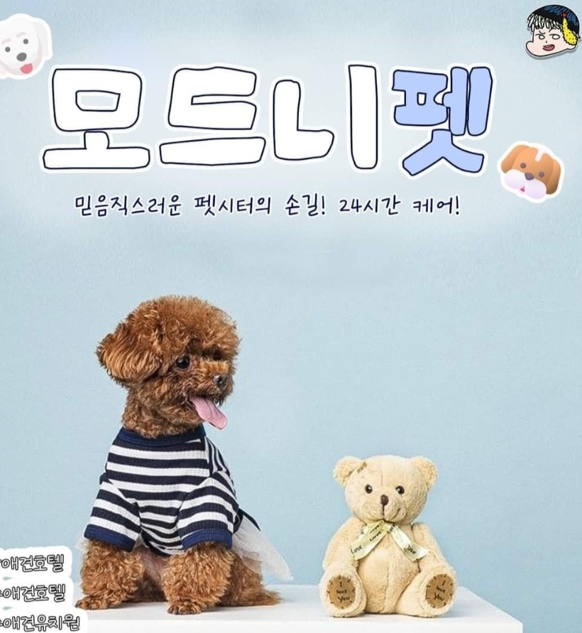 모드니펫&모드니몽 대표 이미지