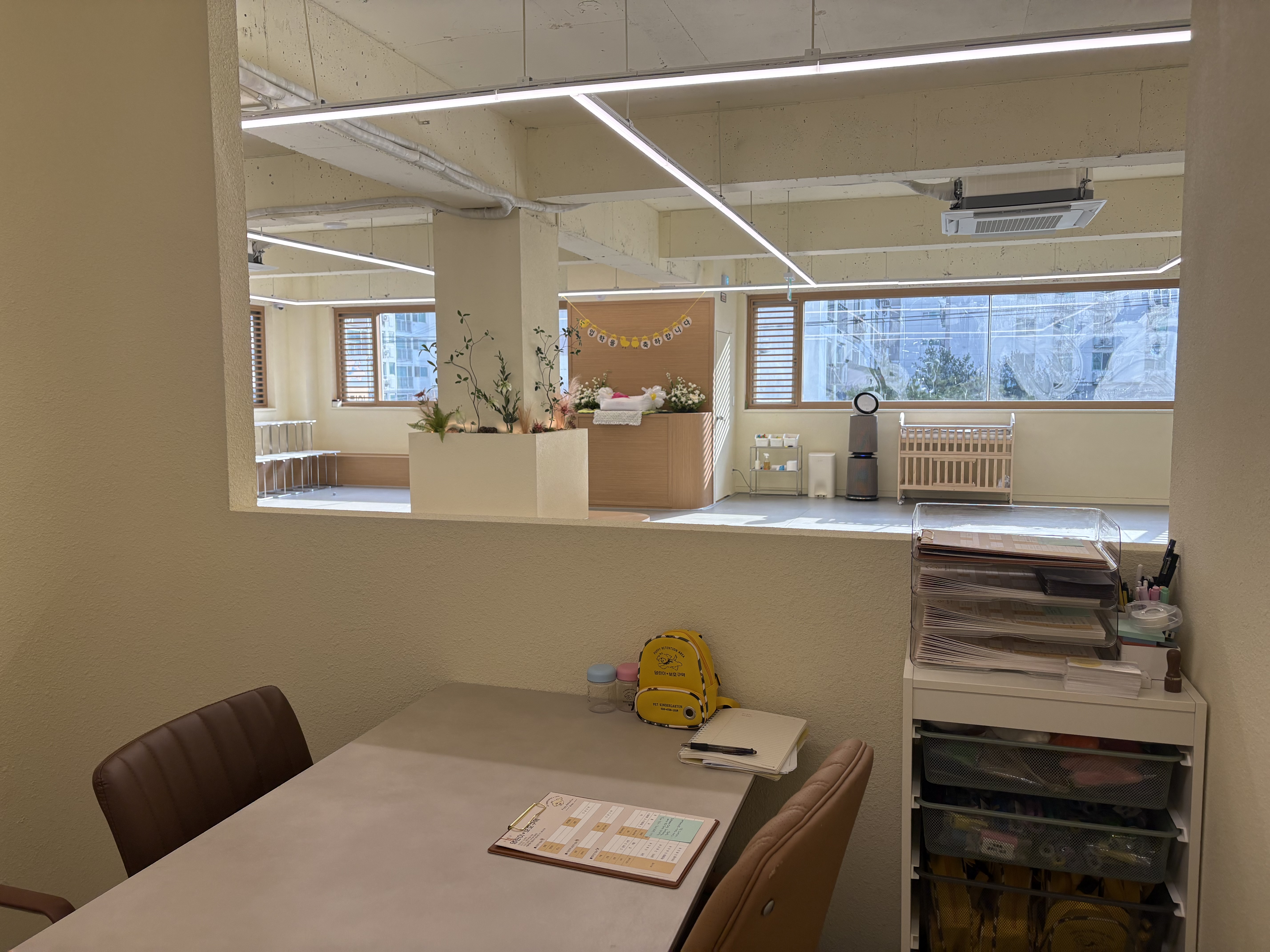 댕린이 보호구역 대표 이미지