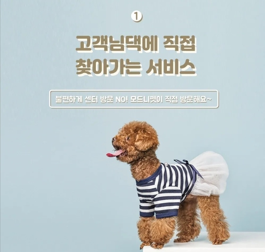 모드니펫&모드니몽 대표 이미지