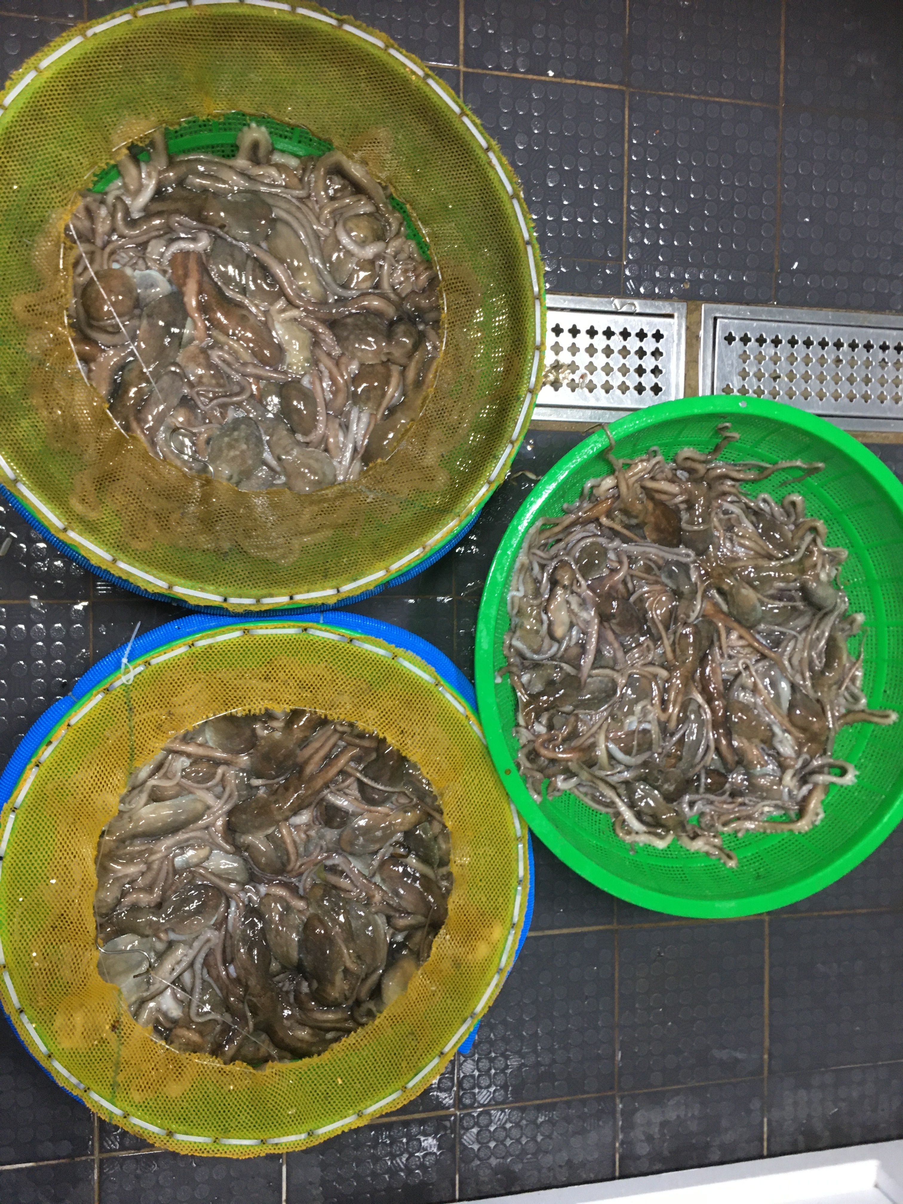 싱싱바다수산