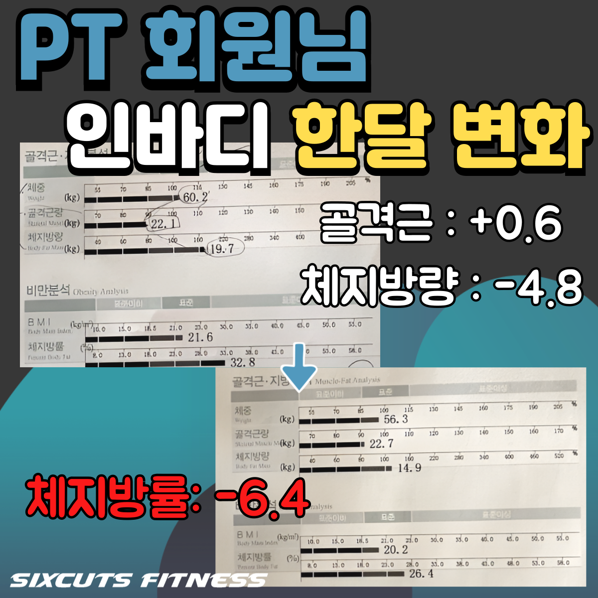 식스컷츠 피트니스 안성 공도점