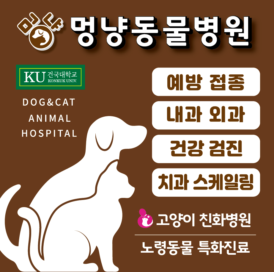 멍냥동물병원