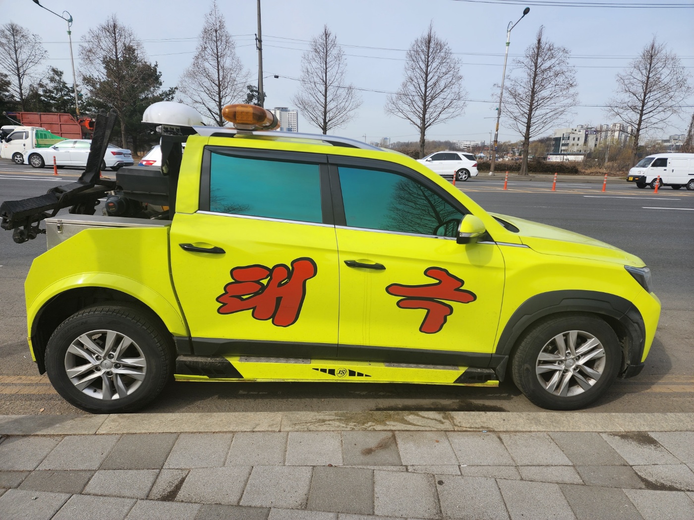 태극