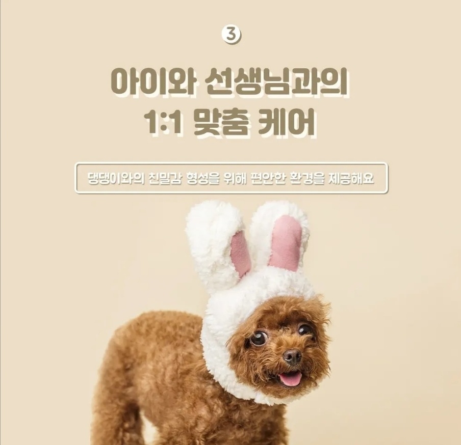 모드니펫&모드니몽 대표 이미지