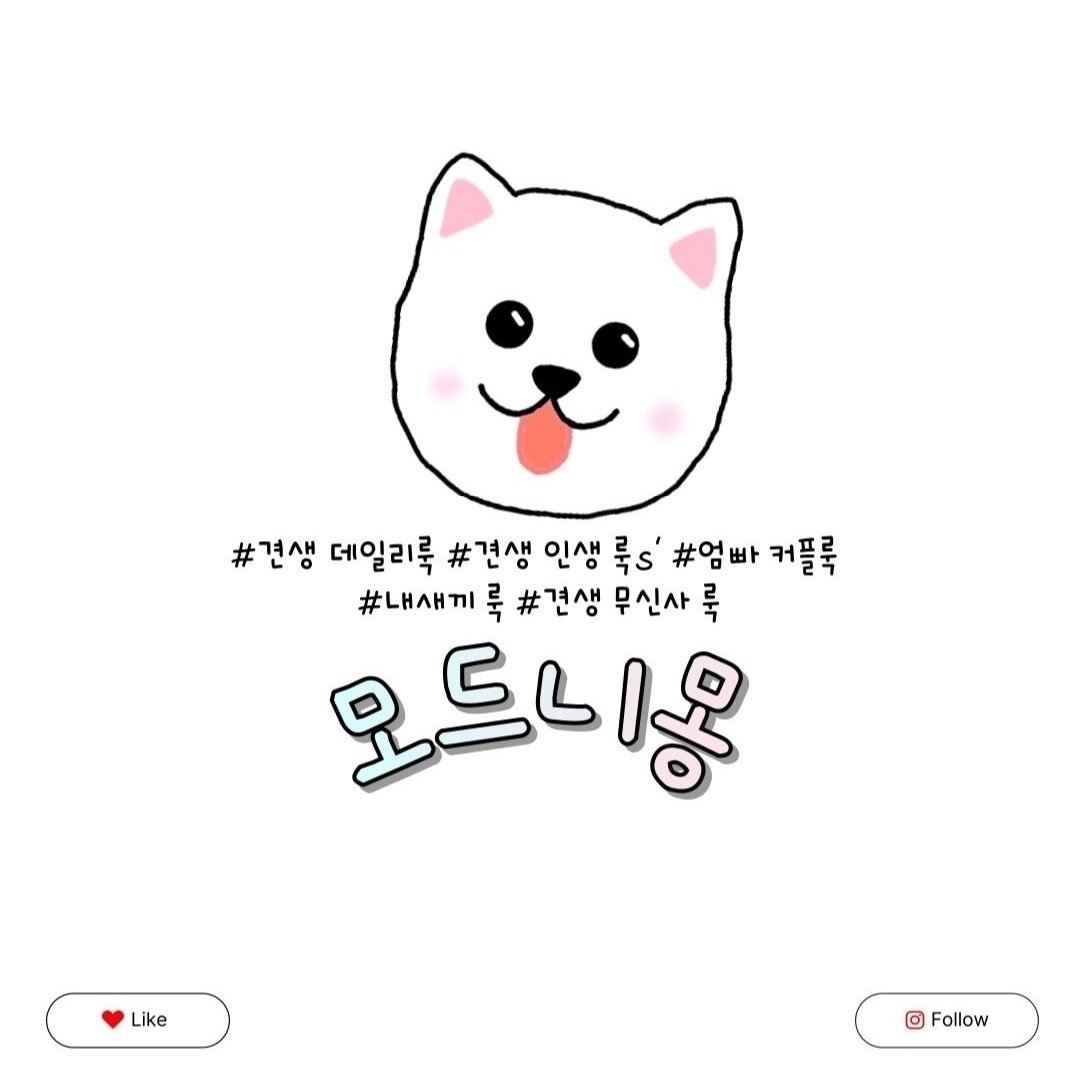 모드니펫&모드니몽 대표 이미지