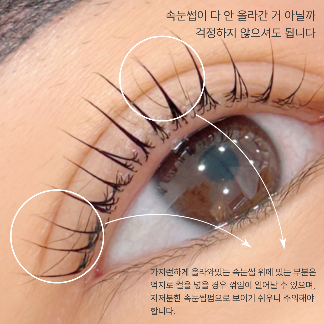 제이오브뷰티