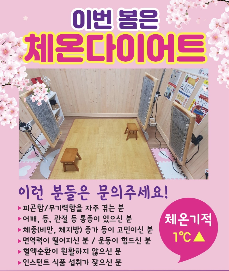 바디쉐프