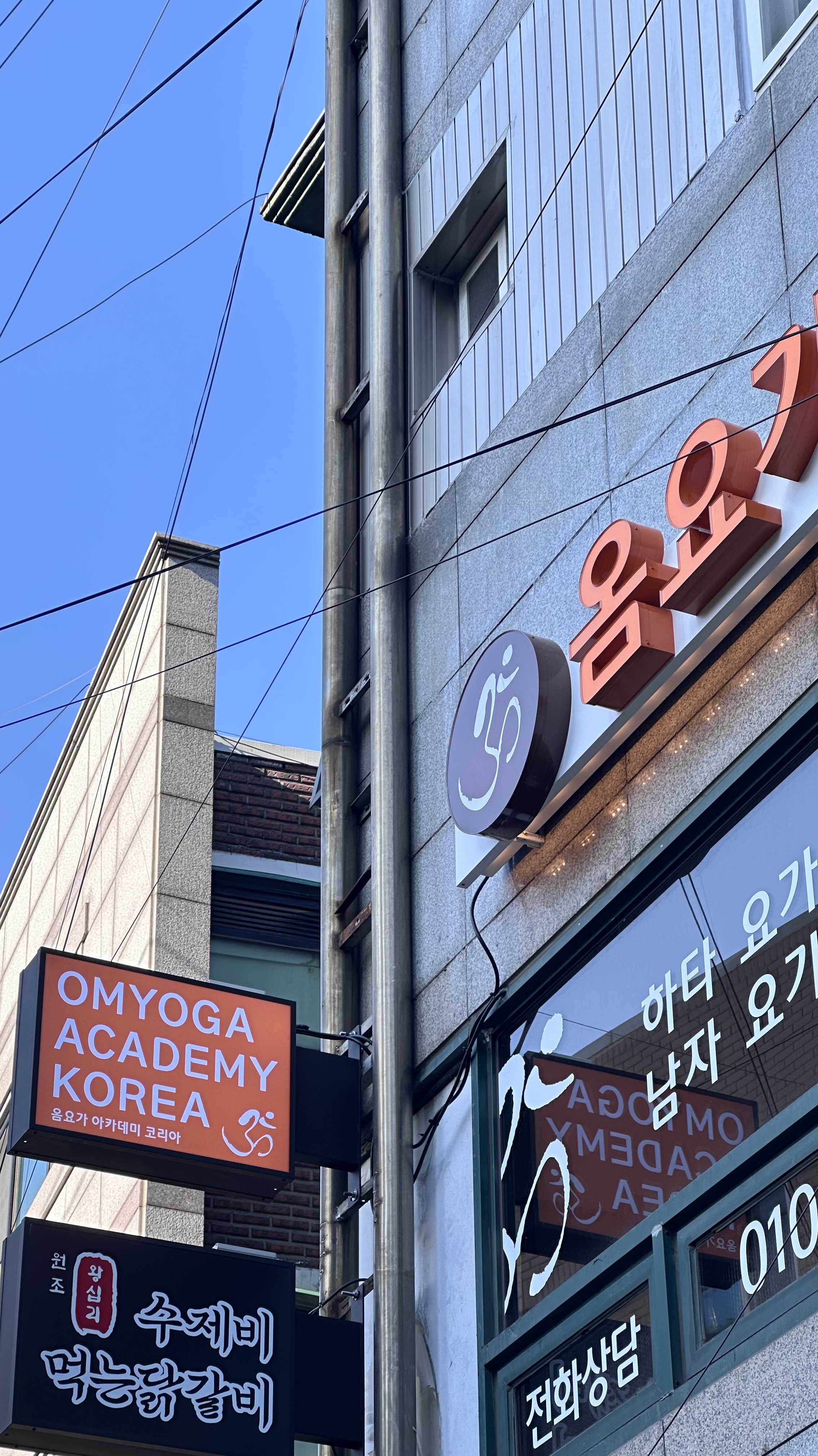 옴요가 아카데미 코리아 대표 이미지