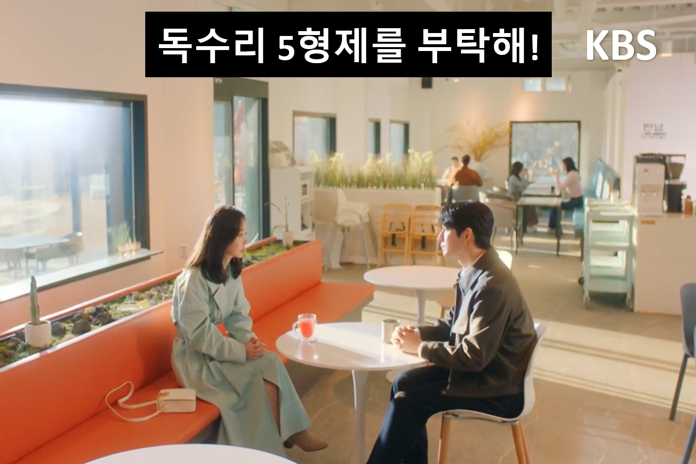 판교몽 2