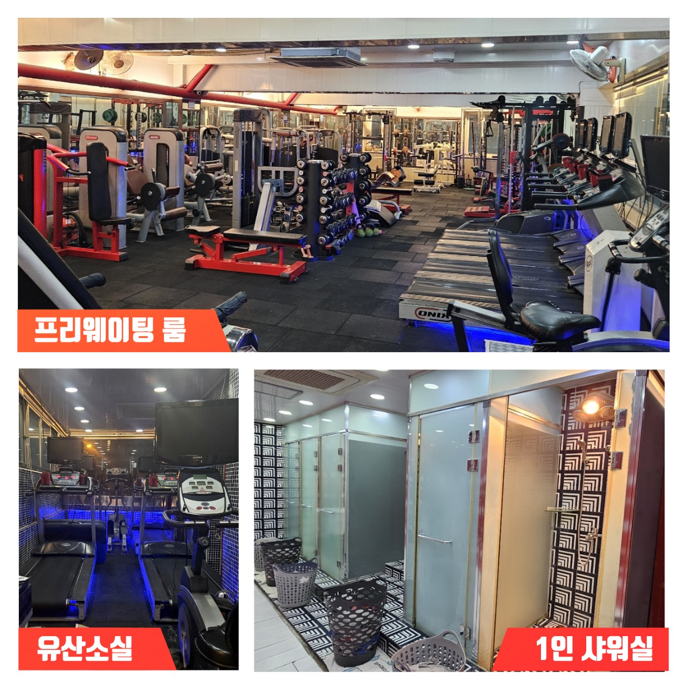 레드휘트니스