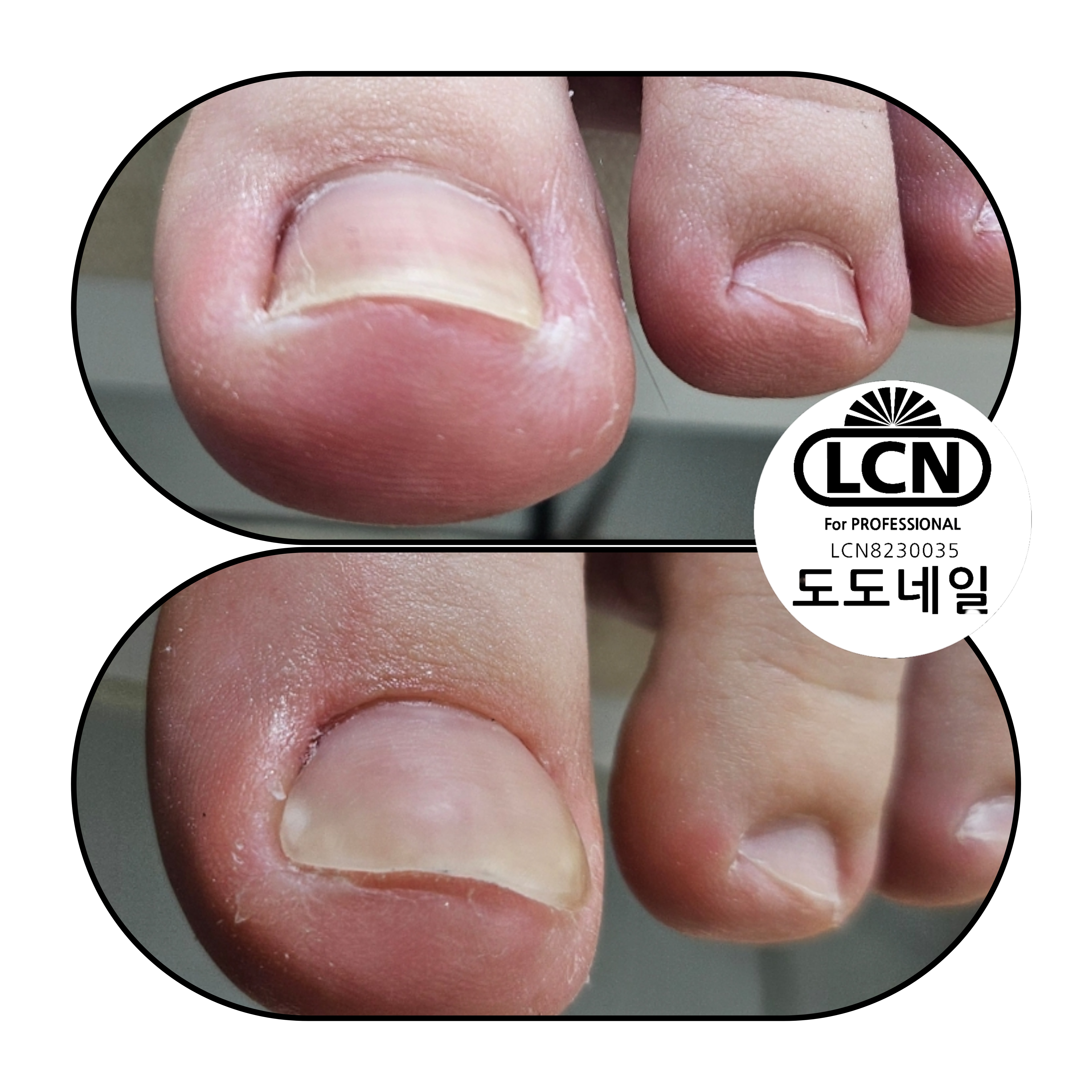 도도네일 세종