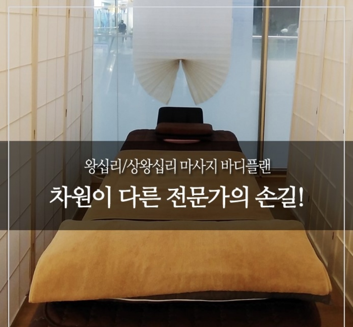 바디플랜 더 마사지